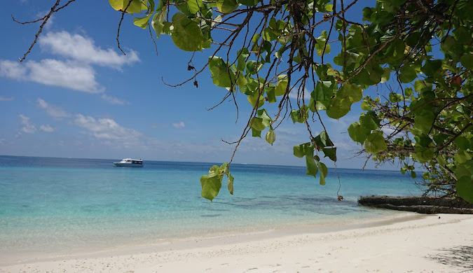 ITA Airways Malé Office in Maldives